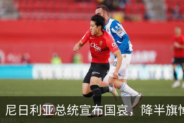 尼日利亚总统宣布国哀，降半旗悼念空难遇难者